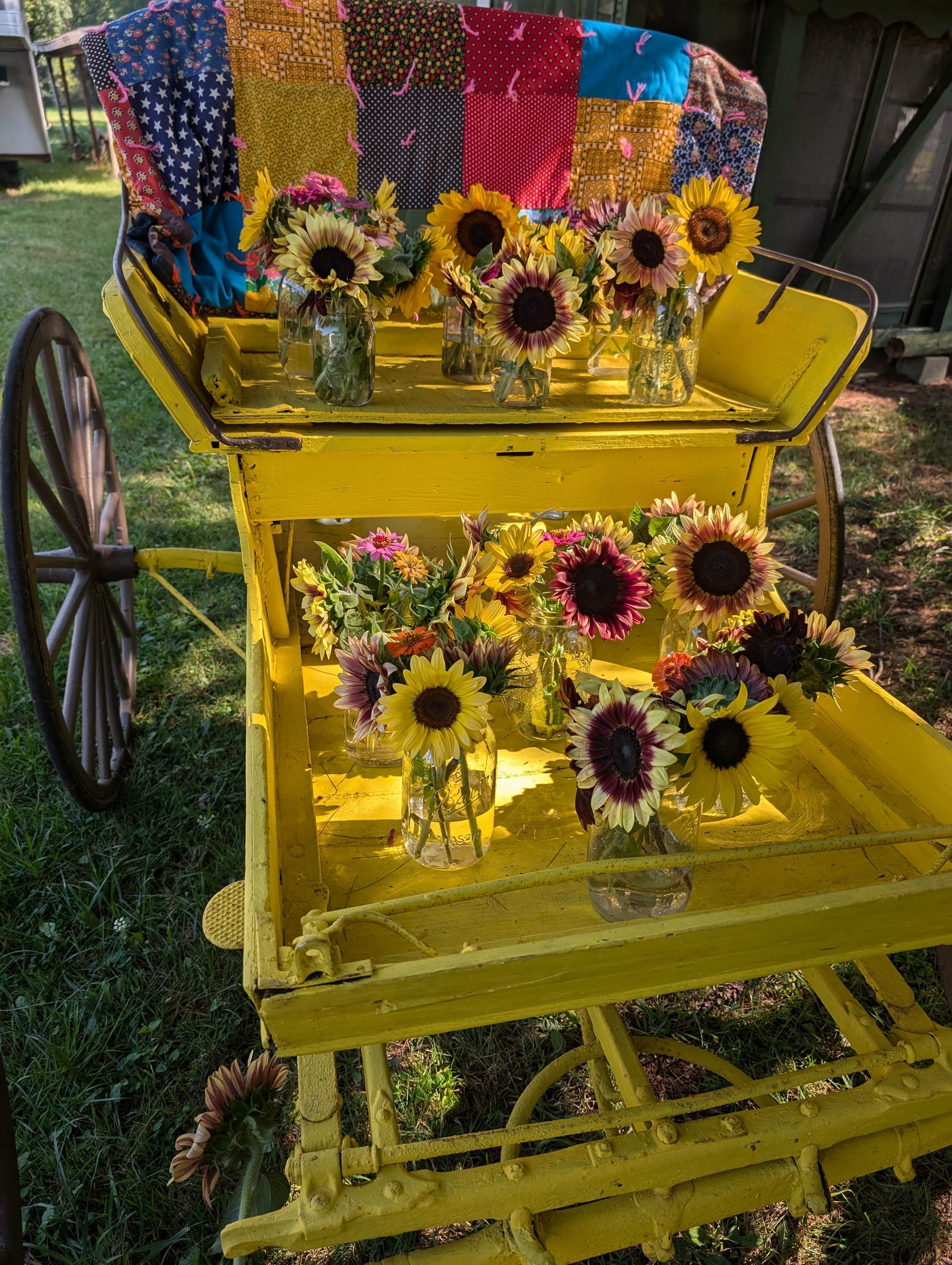 Sunflowers